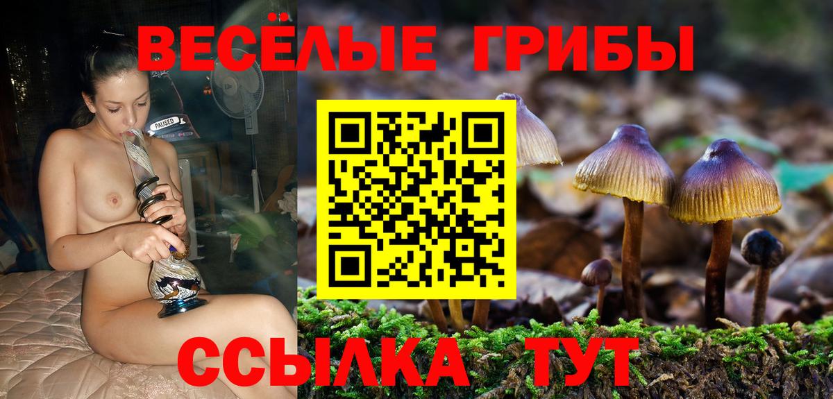 Псилоцибиновые грибы мицелий  Вход с VPN  Вязники 