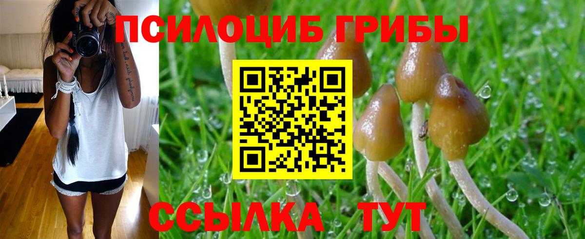 Галлюциногенные грибы GOLDEN TEACHER Вязники